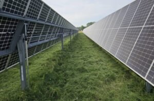 Services forestiers et entretien d’espaces verts