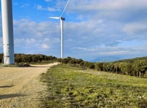 Services forestiers et entretien d’espaces verts