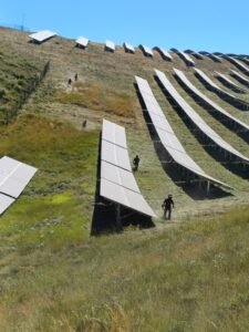 Services forestiers et entretien d’espaces verts dédiés aux centrales solaires