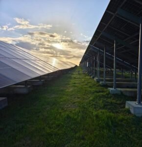 Services forestiers et entretien d’espaces verts