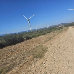 Services forestiers et entretien d’espaces verts dédiés aux centrales solaires