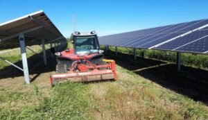 Services forestiers et entretien d’espaces verts dédiés aux centrales solaires