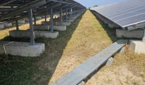 Services forestiers et entretien d’espaces verts
