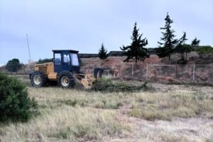 Services forestiers et entretien d’espaces verts