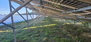 Services forestiers et entretien d’espaces verts dédiés aux centrales solaires