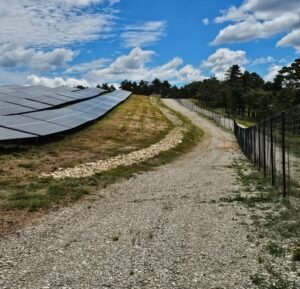 Services forestiers et entretien d’espaces verts dédiés aux centrales solaires