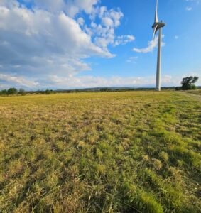 Services forestiers et entretien d’espaces verts dédiés aux centrales solaires