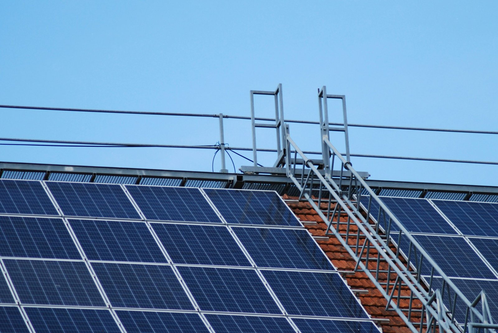 Services forestiers et entretien d’espaces verts