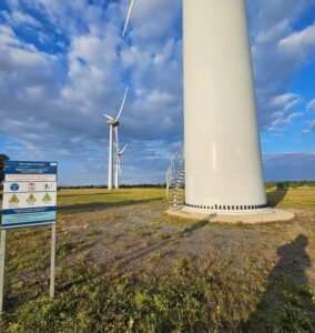 Services forestiers et entretien d’espaces verts dédiés aux centrales solaires